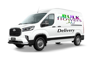 FLOWER DELIVERY