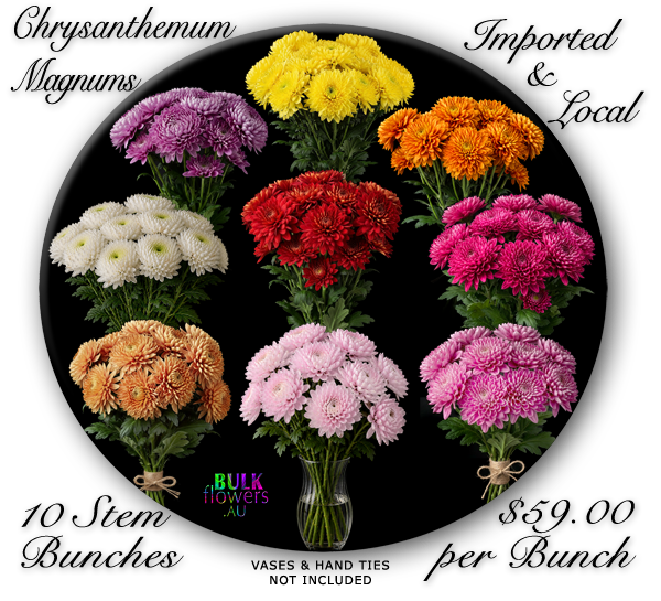 Gympie Flowers Magnums